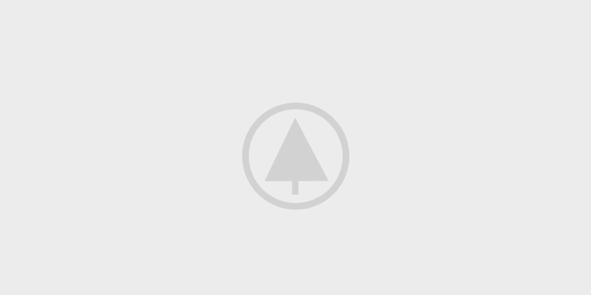 wood-gallery-placeholder-5 wood-gallery-placeholder-5